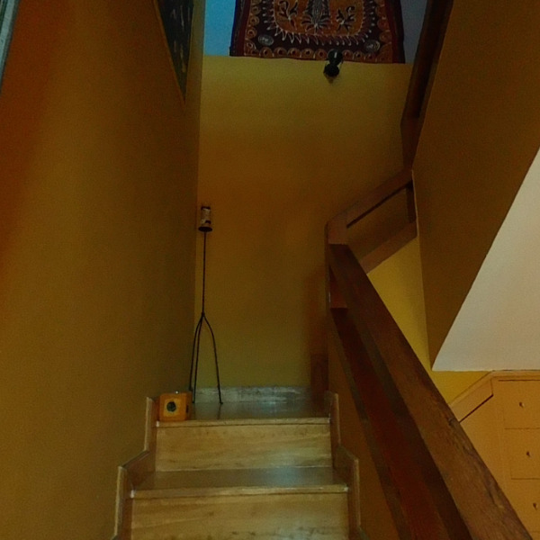 Photo 51