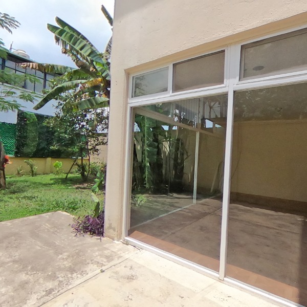 PATIO TRASERO