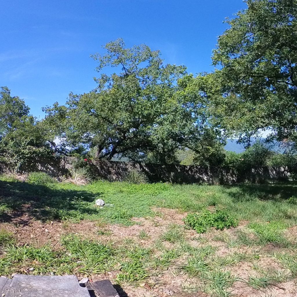 Jardin 1