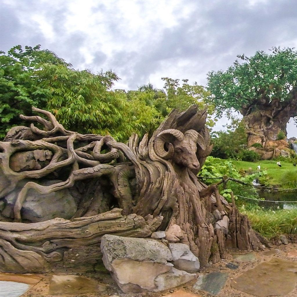 DW 2020 Animal Kingdom