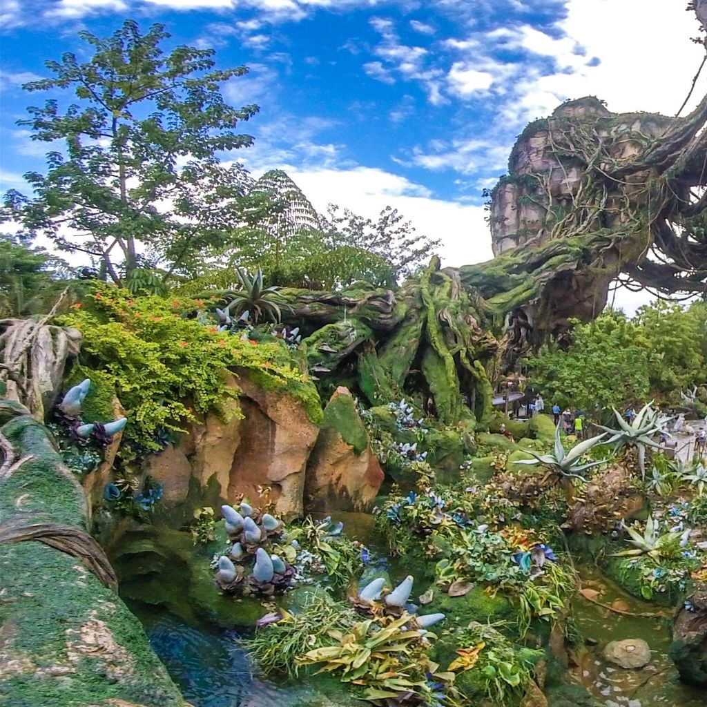 DW 2020 AK Pandora Avatar