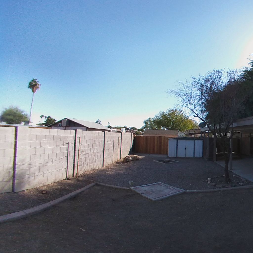 Backyard