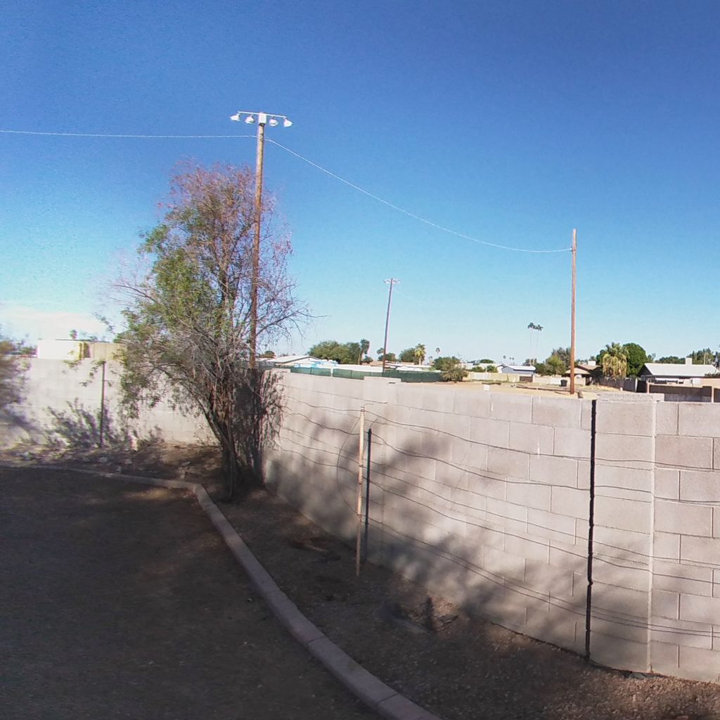 Backyard 2