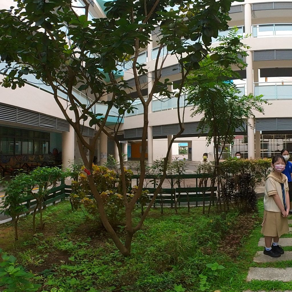 Butterfly Garden