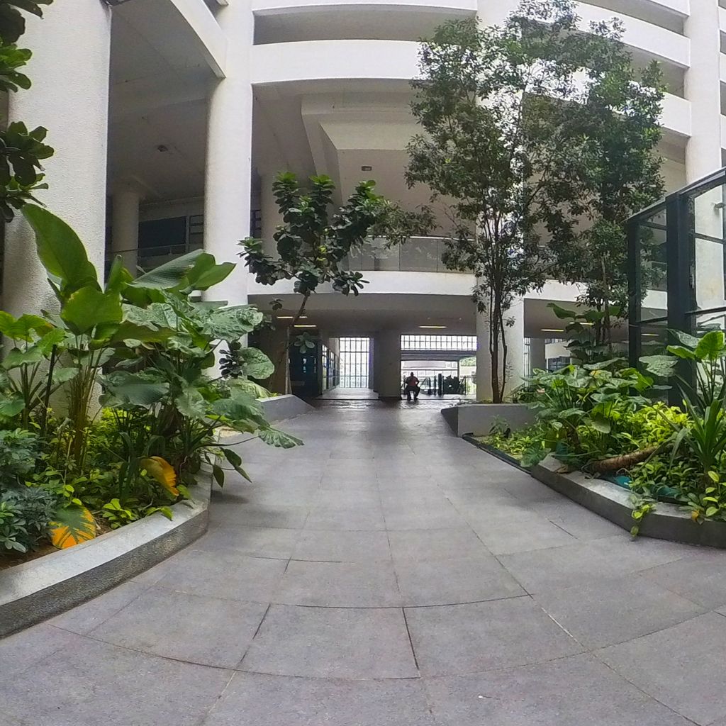 Outdoor Garden