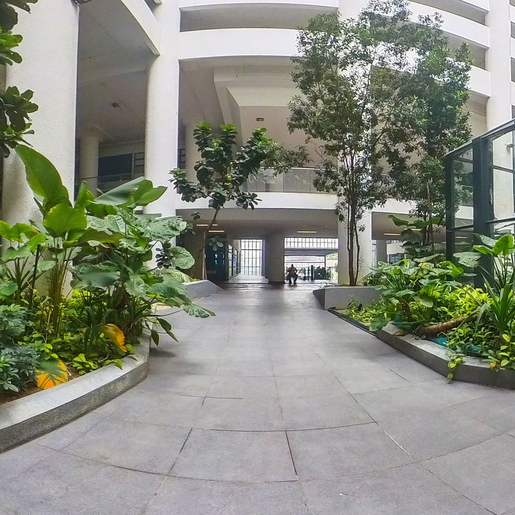 Outdoor Garden