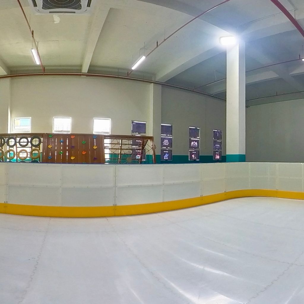 Synthetic skating ring & Bouldering wall