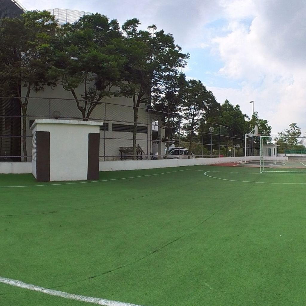 Field