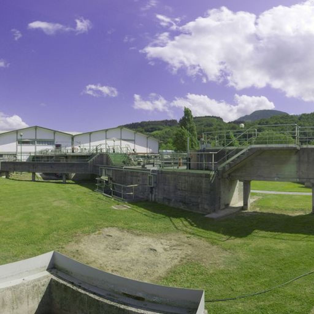 Biologico 26