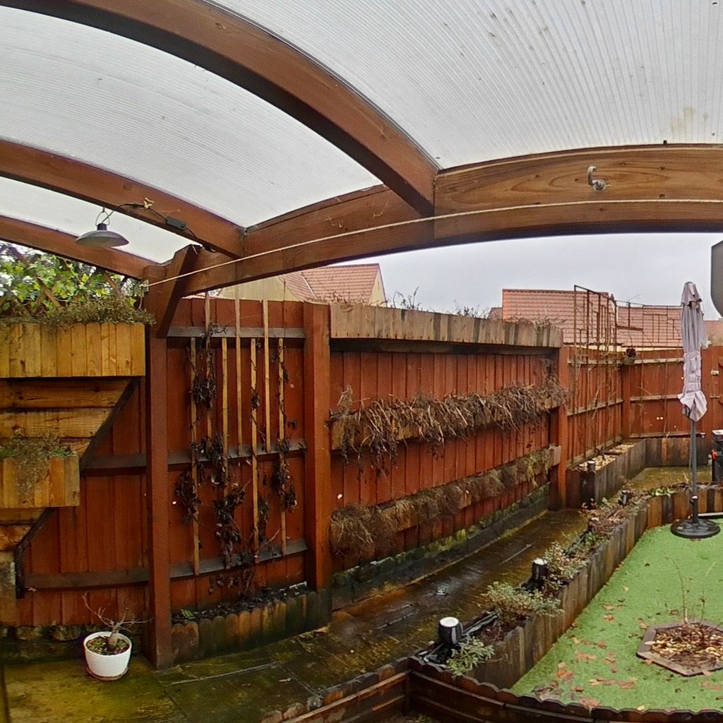Rear yard