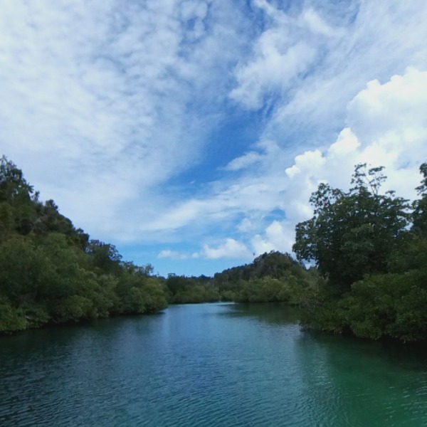 Hutan 