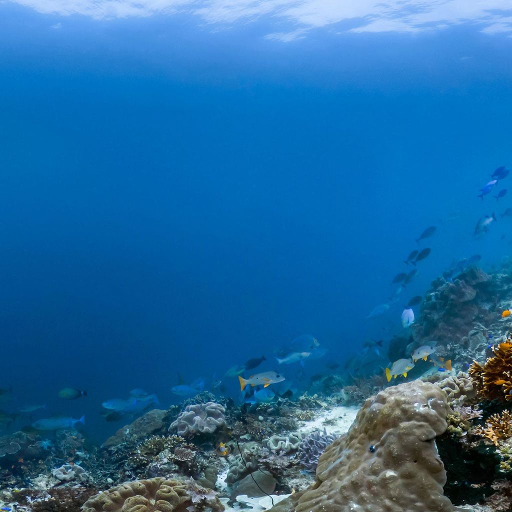 Alam bawa laut 