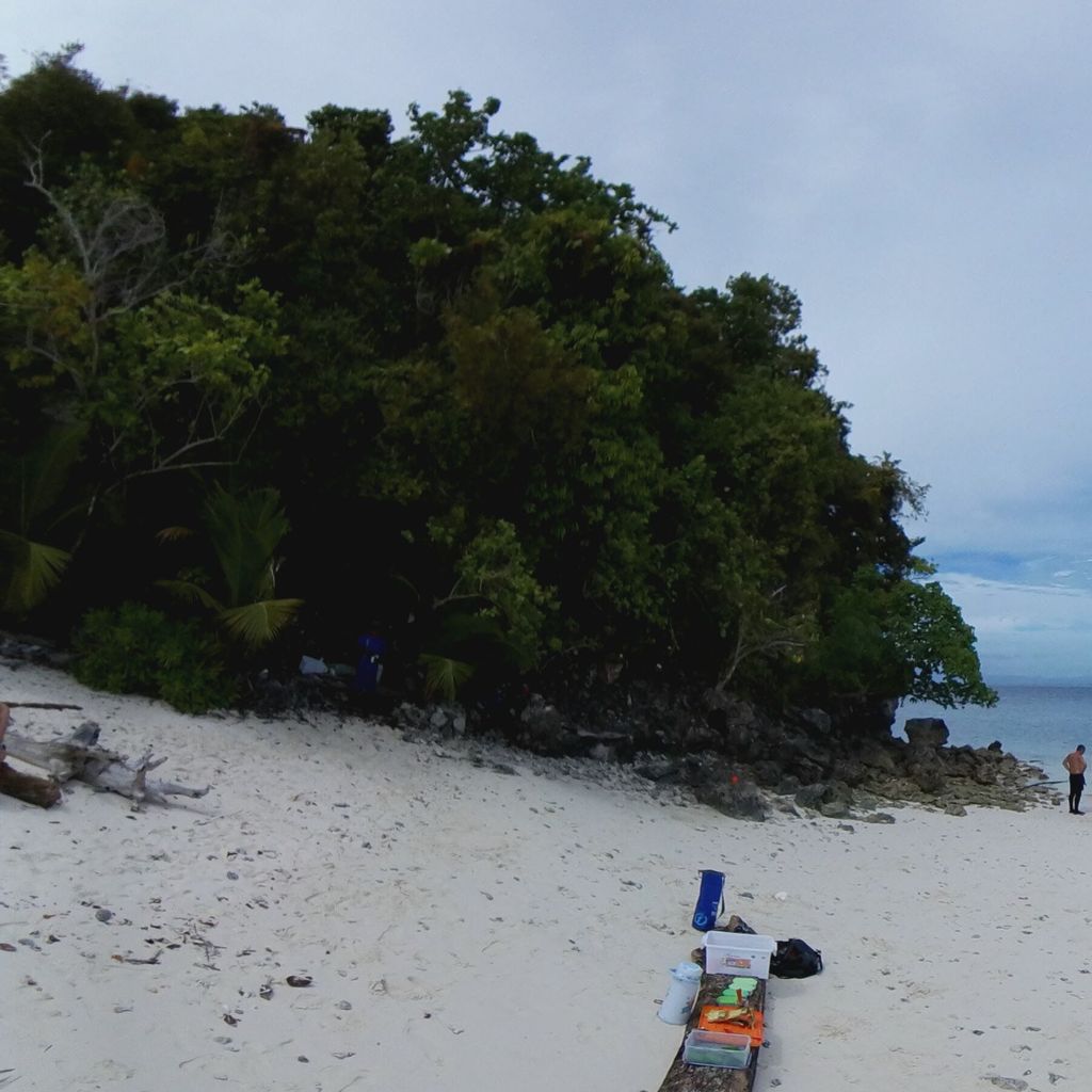 Pasir Timbul 