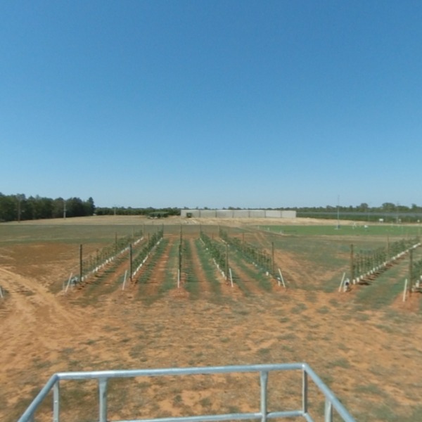 Sundial Orchard 2019