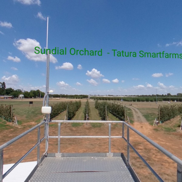 Sundial Orchard 2023