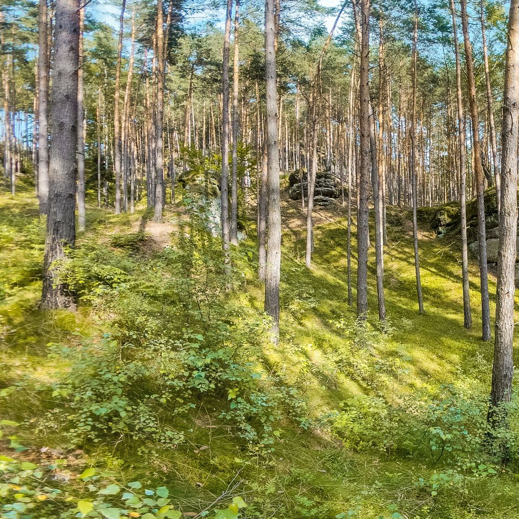 Piskovcove skaly