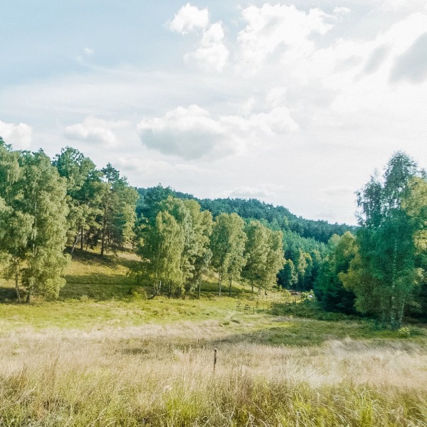 Vyhled na pastviny a zahradu c.2