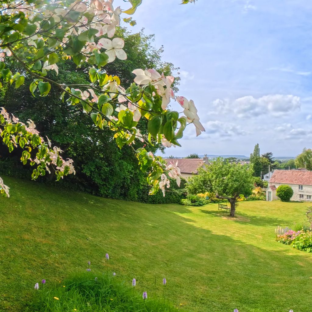 Garden 3