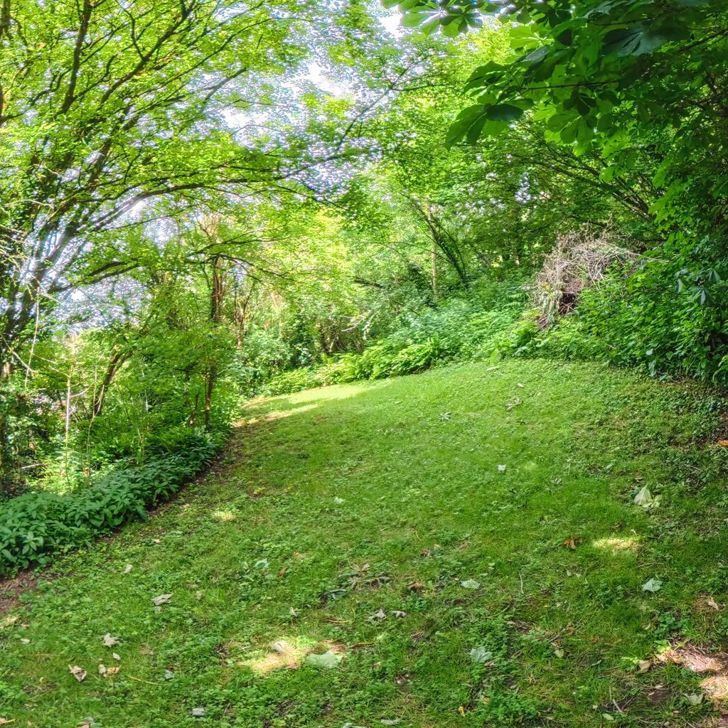 Garden forrest