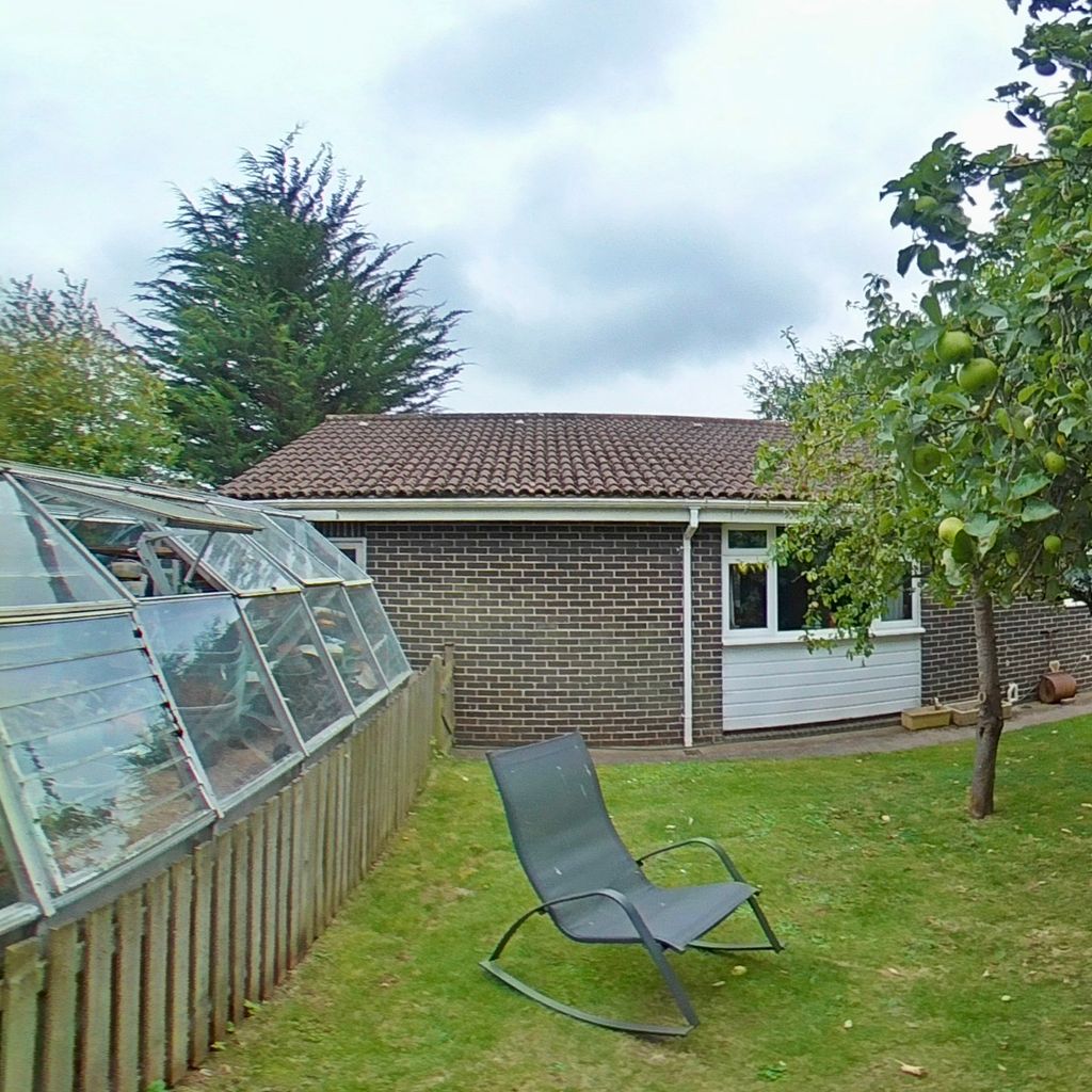 Rear garden 2