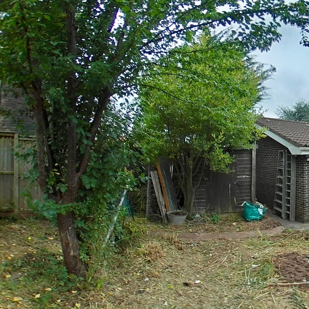 Vegetable garden
