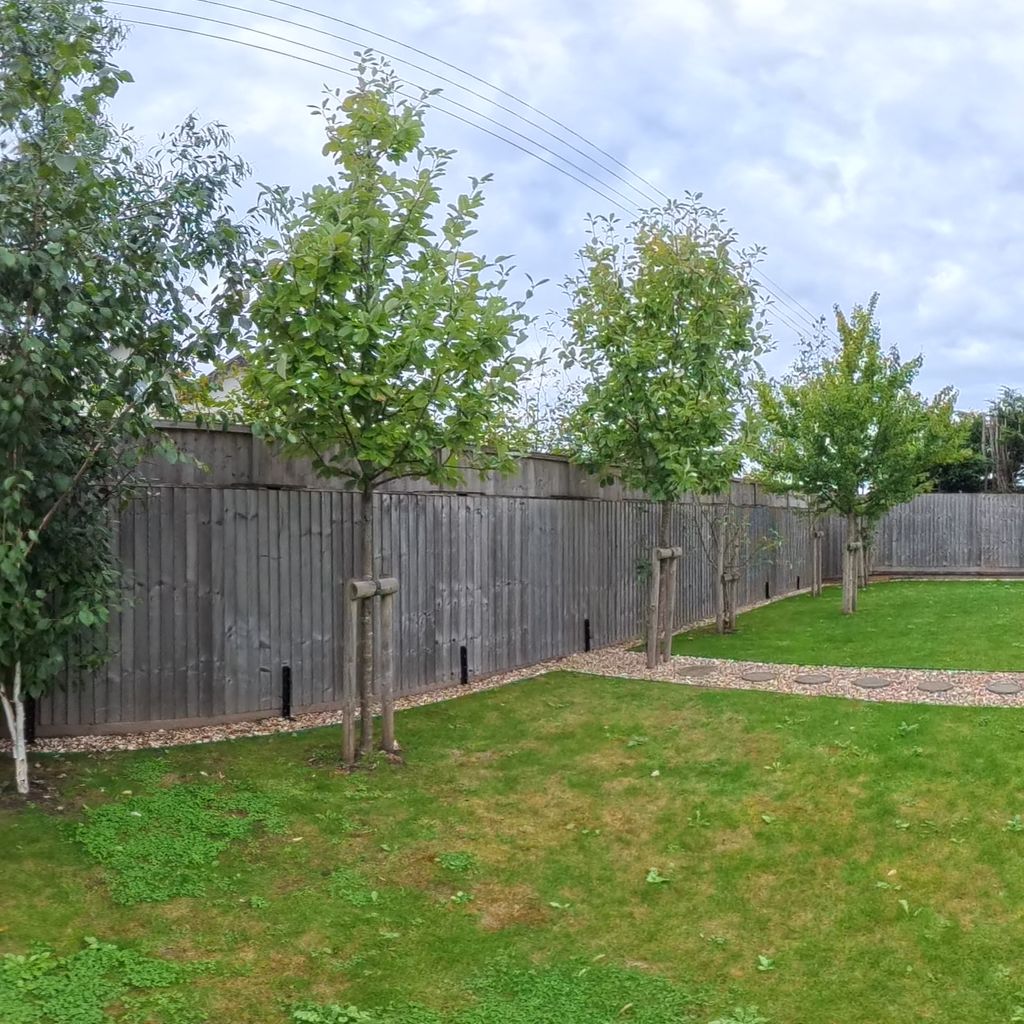 Garden 1