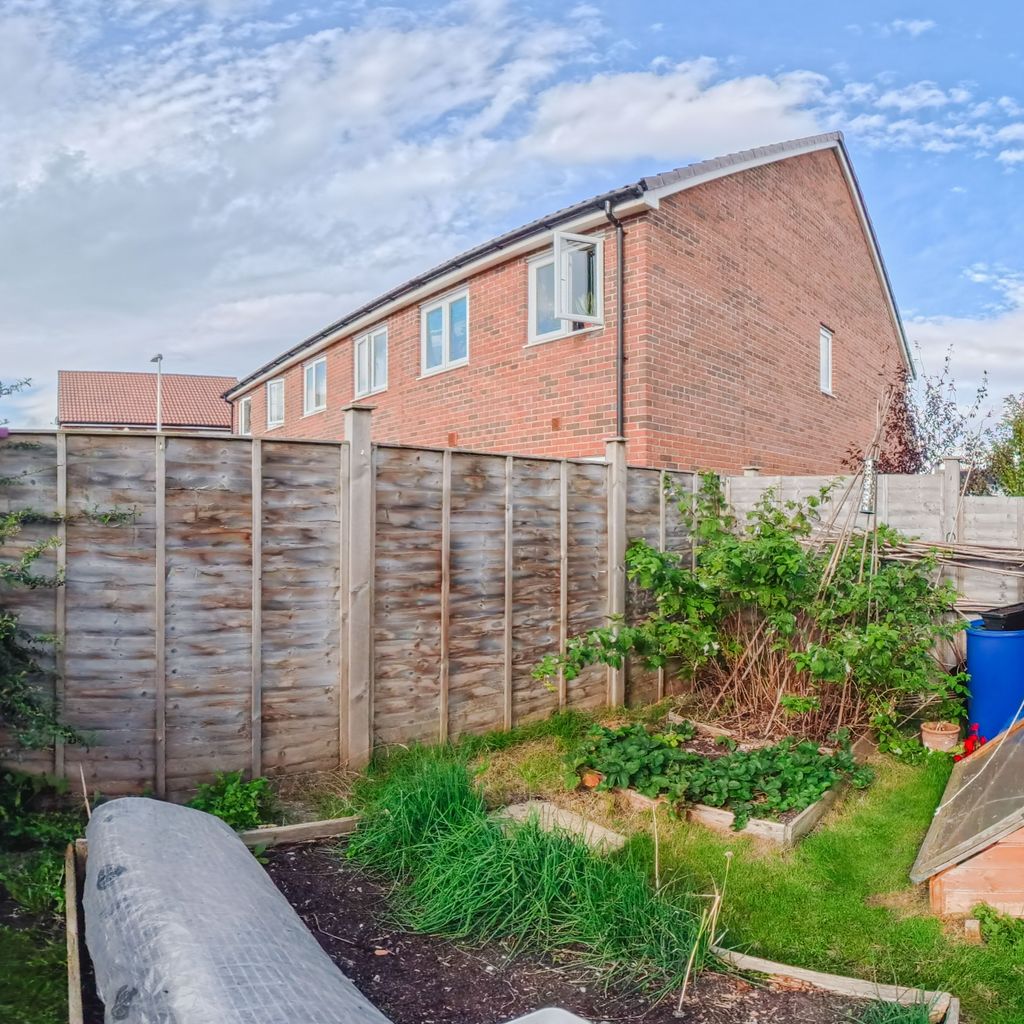 Back garden