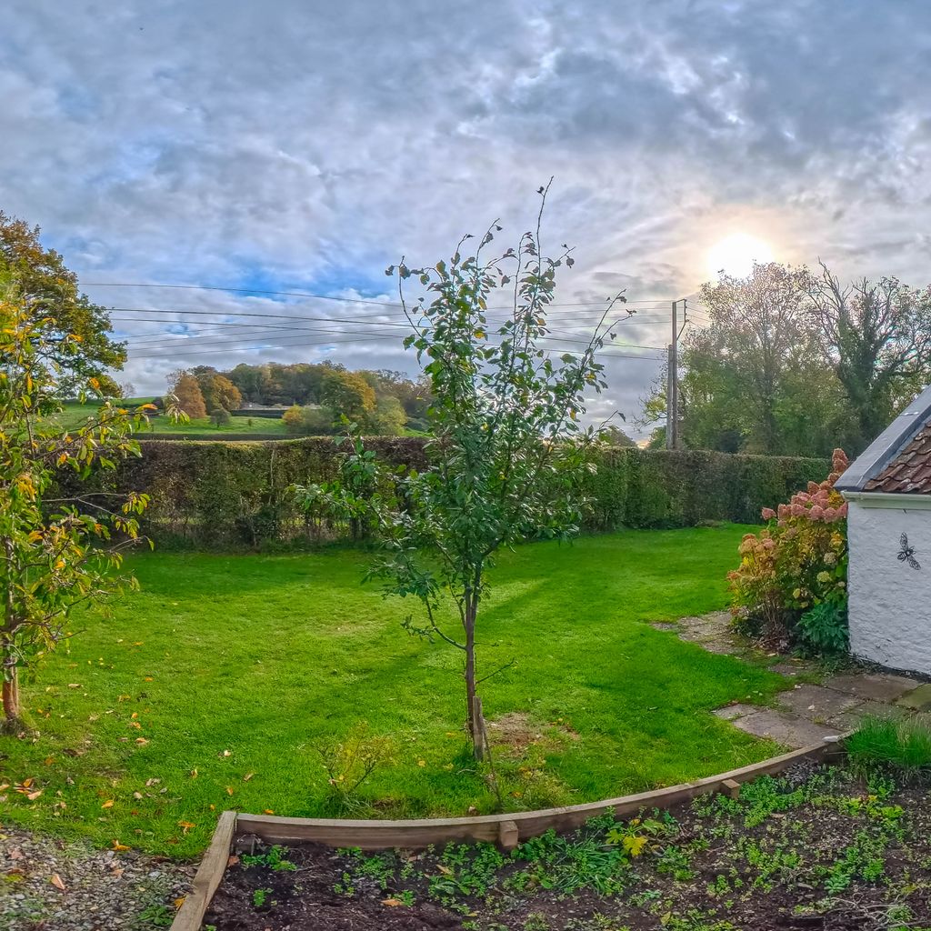 Veg garden