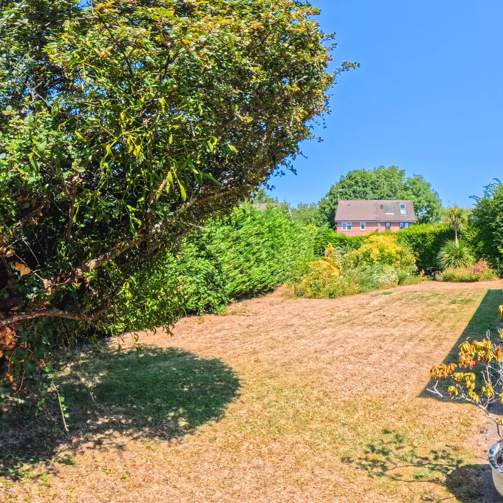 Side garden