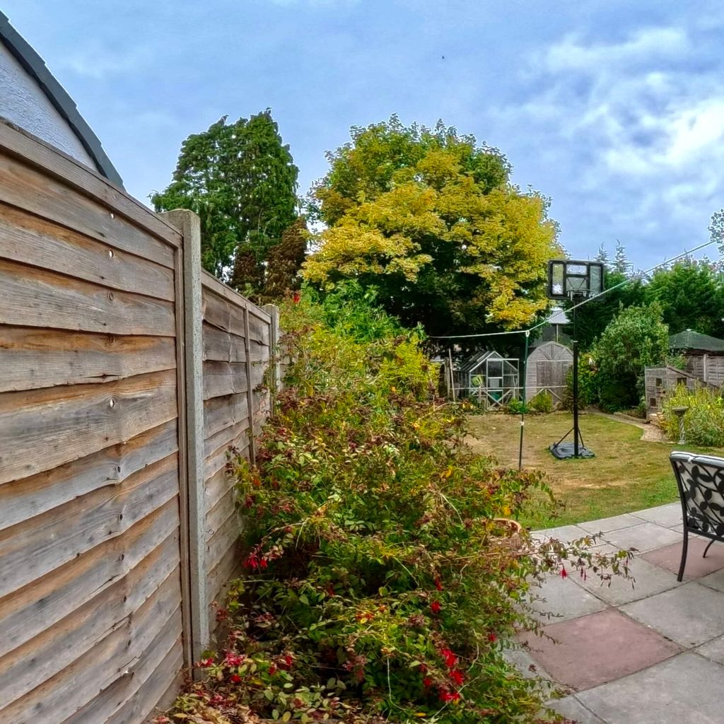 Garden 1