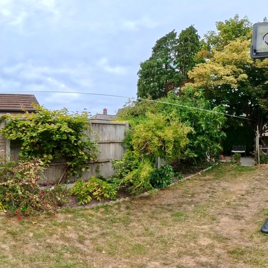 Garden 2