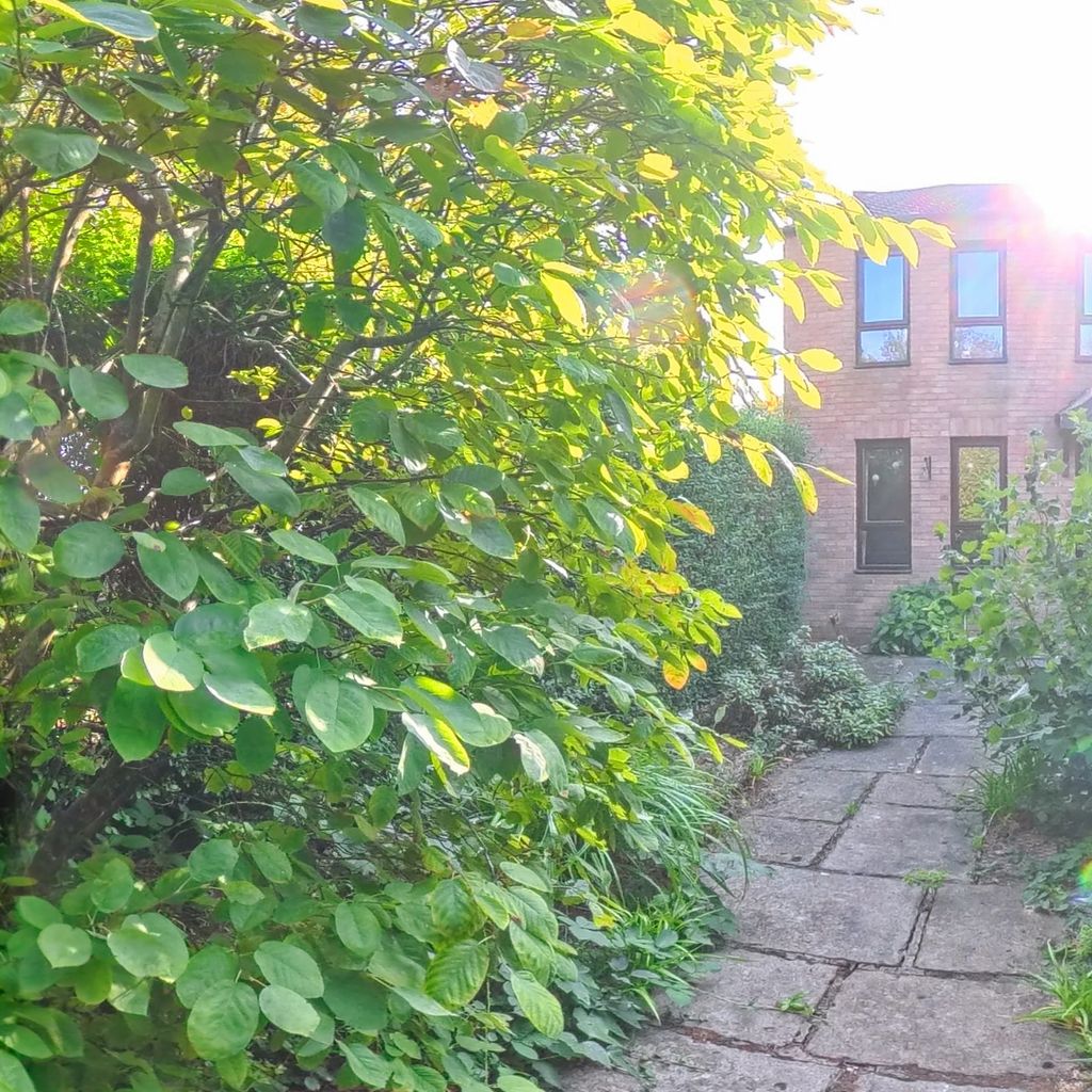 Garden 2