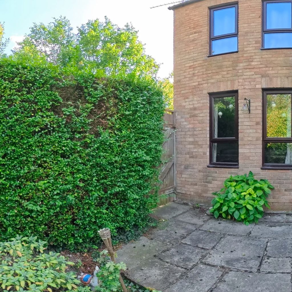 Garden 1