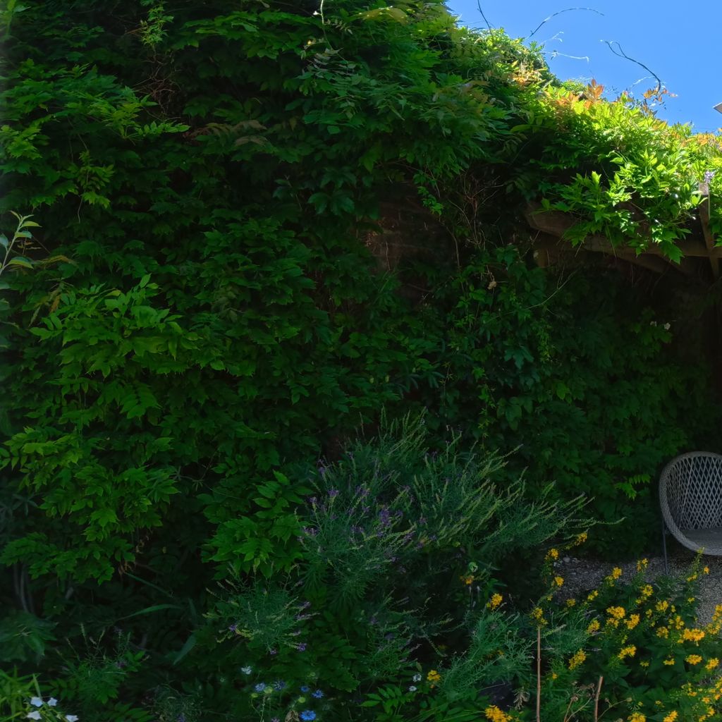 Garden lounge