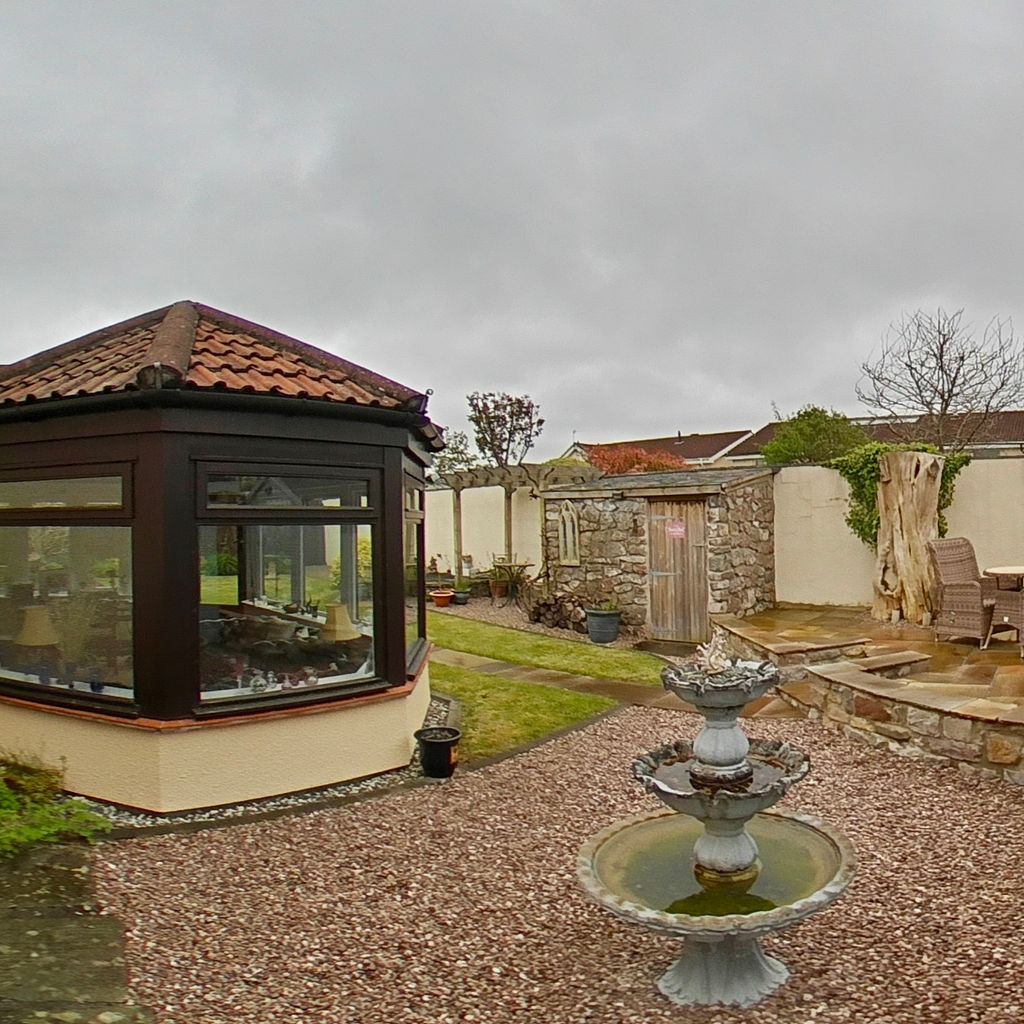 Back yard