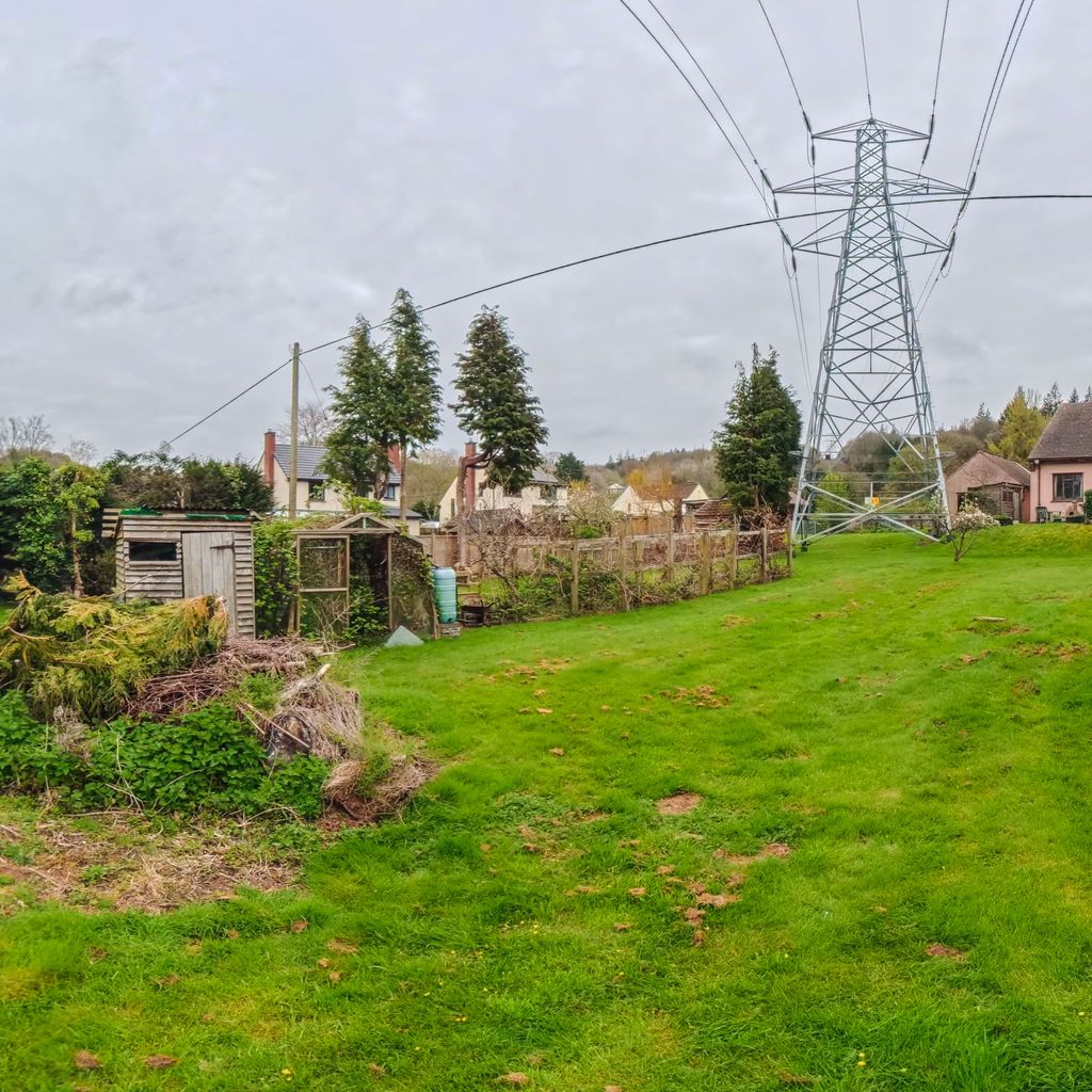 Rear garden 2