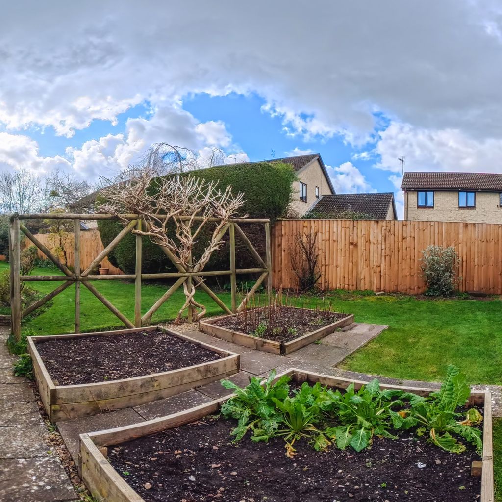 Garden rear