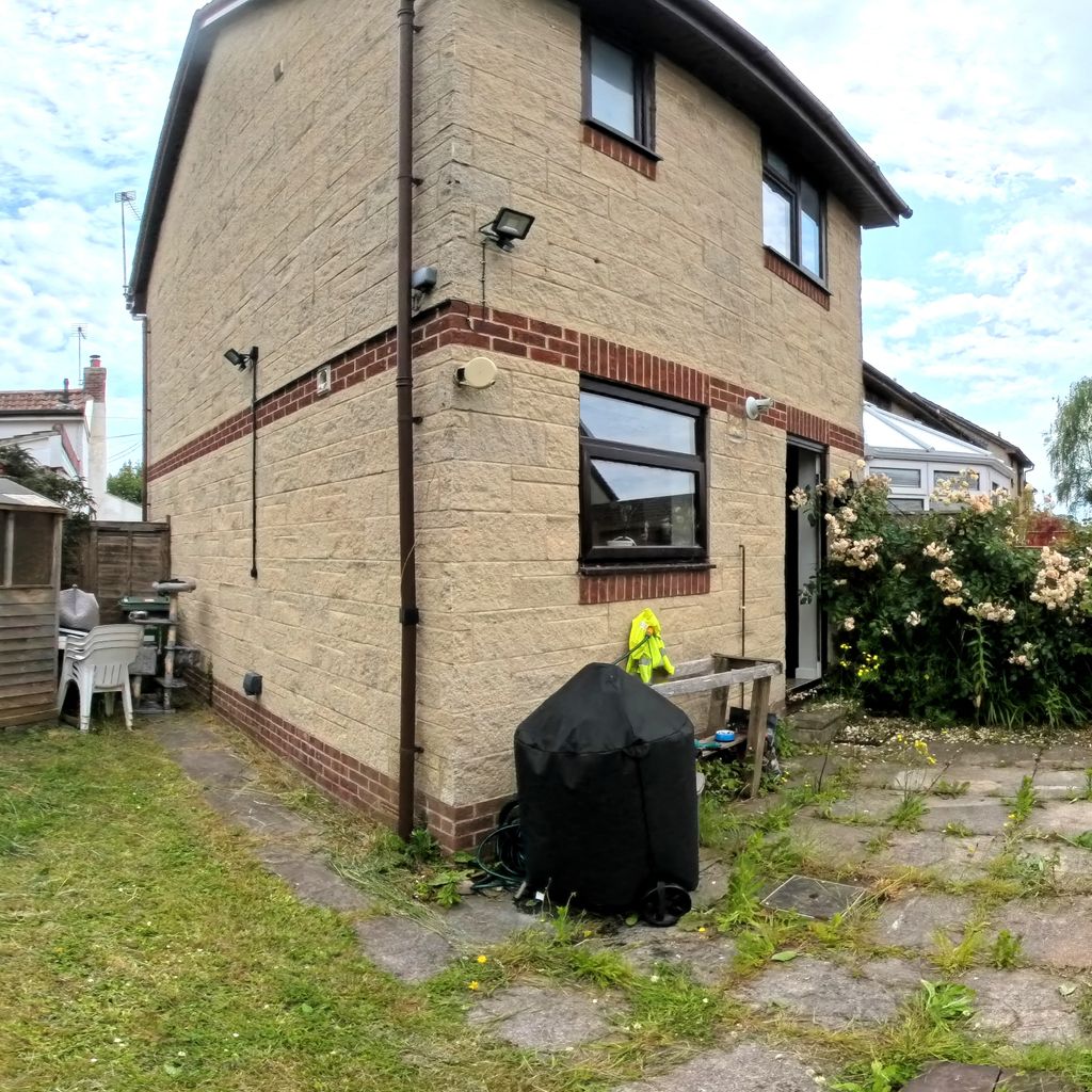Garden 2