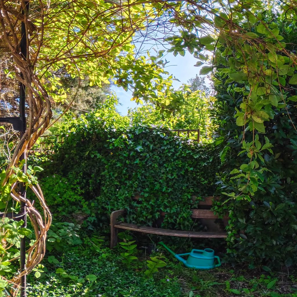 Rear garden bench