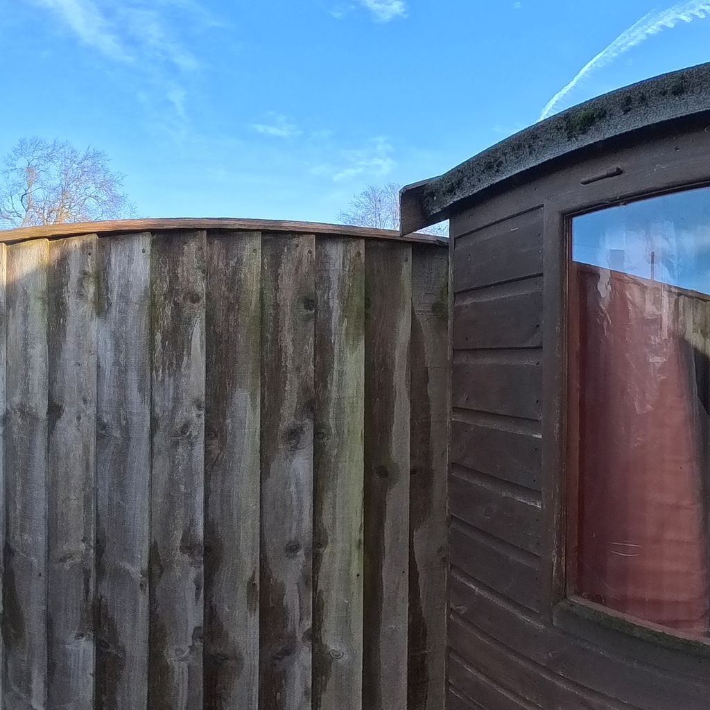 Shed