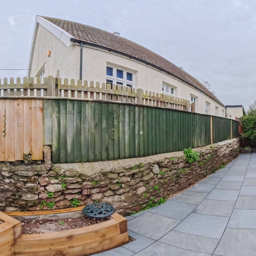 Rear garden 2