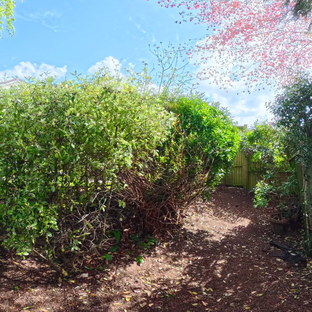 Rear garden