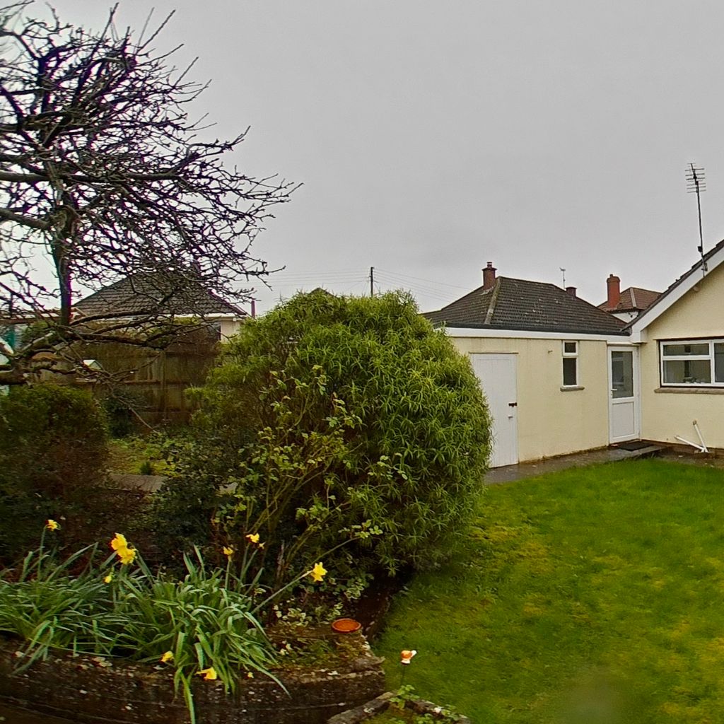 Garden (3)