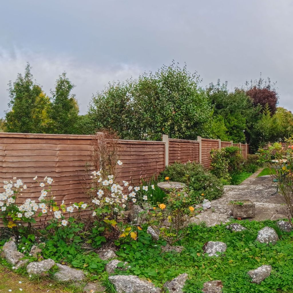 Rear garden