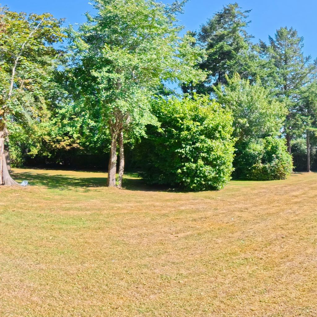 Middle