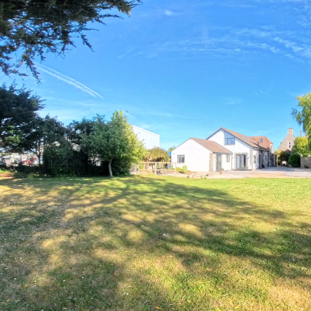 Garden 1