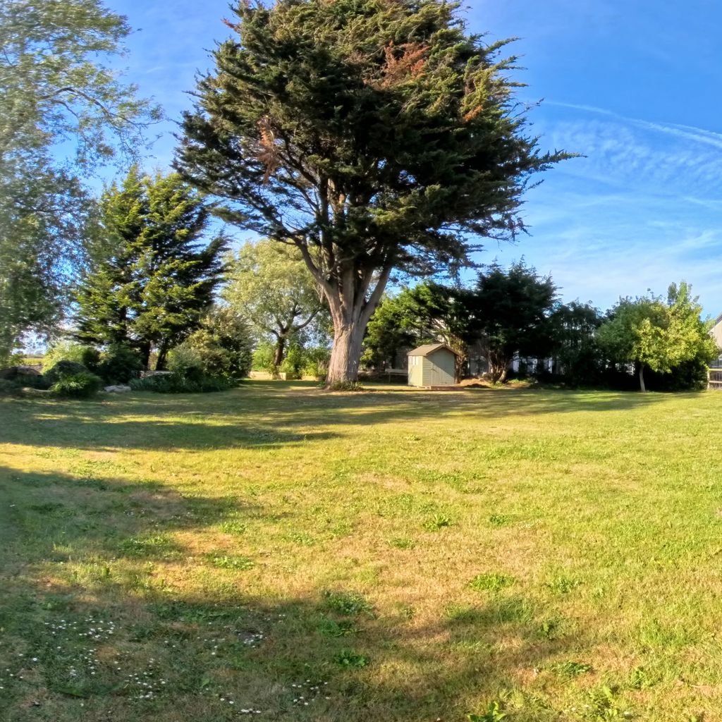 Garden 2