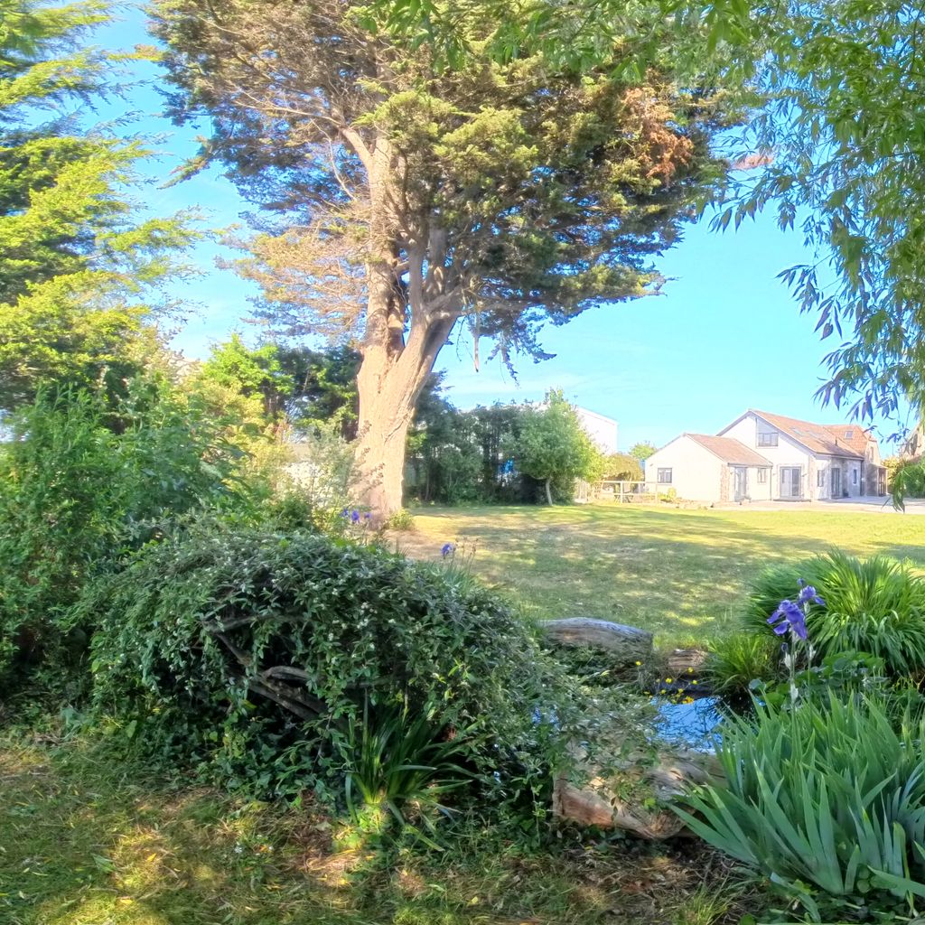 Garden 3