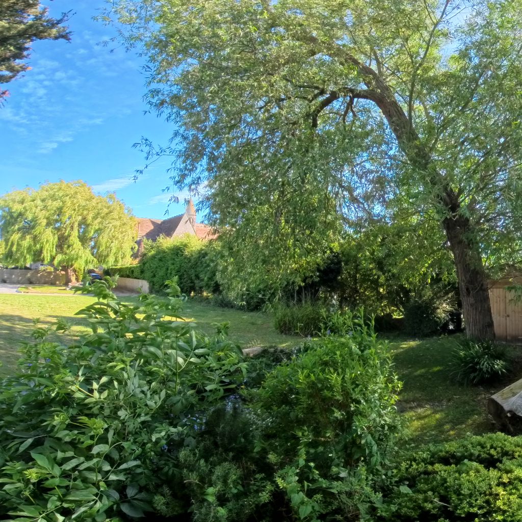 Garden 4