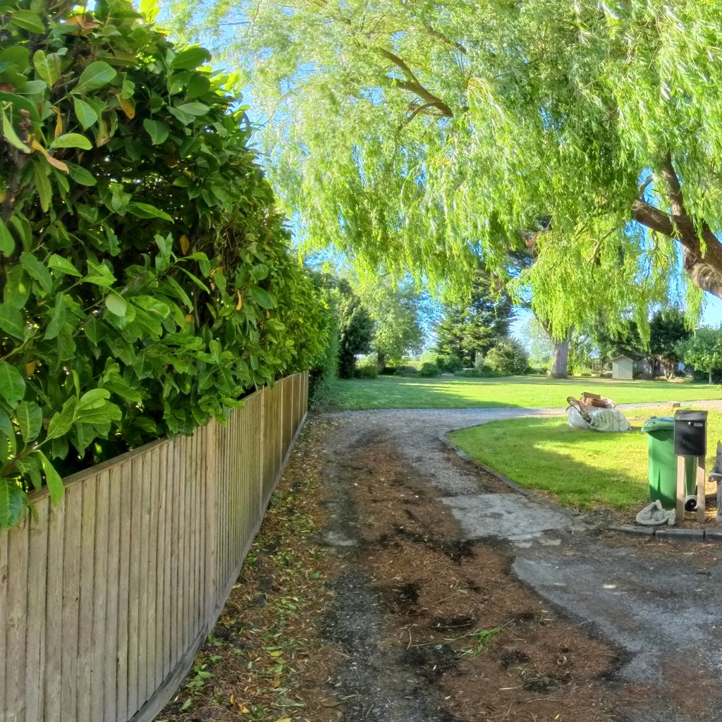 Garden 7